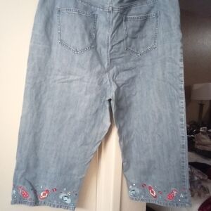 🍀Christopher & Banks Light Blue Embroidered Capris.